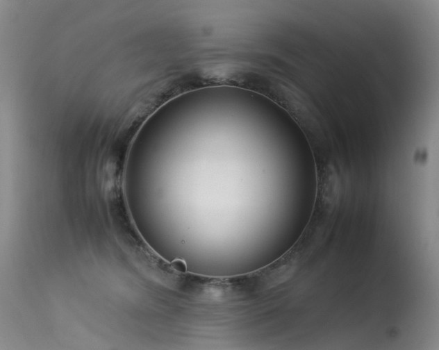 X0000113620420200909251211