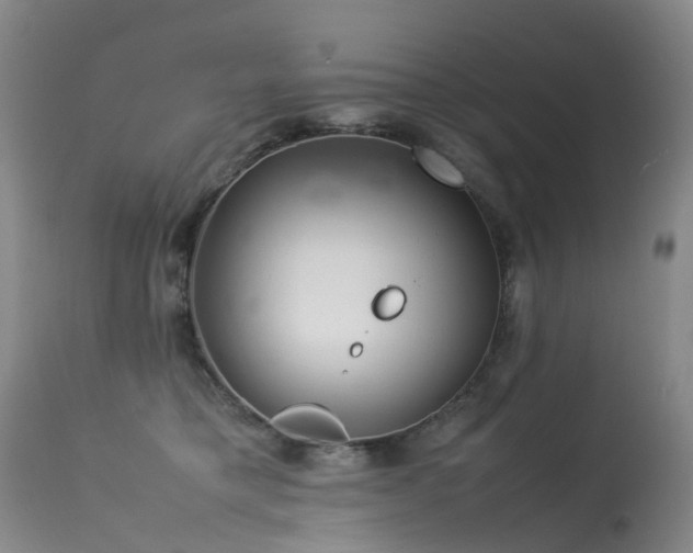 X0000113620421200909251210