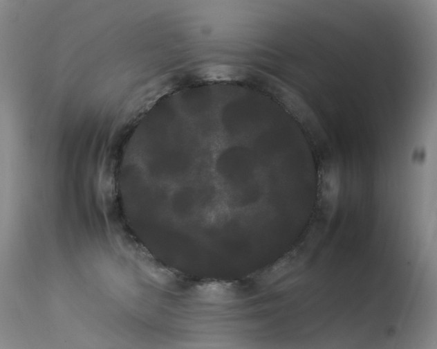 X0000113620422200909251210