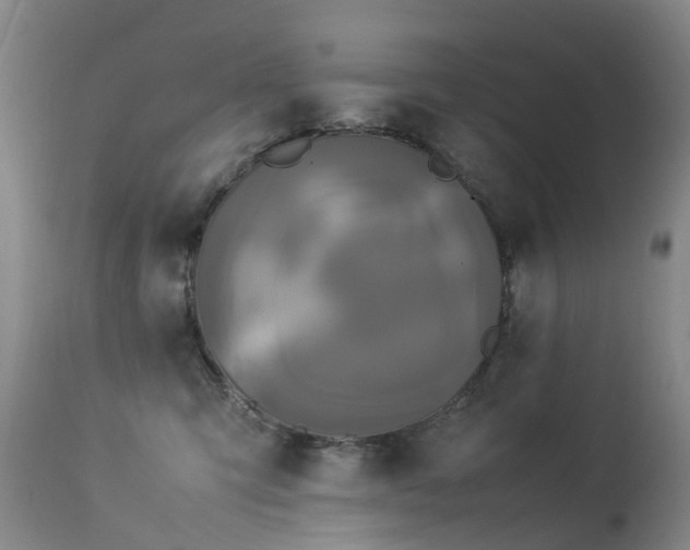 X0000113620423200909251210