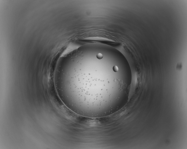 X0000113620424200909251210