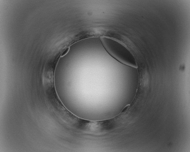 X0000113620425200909251210