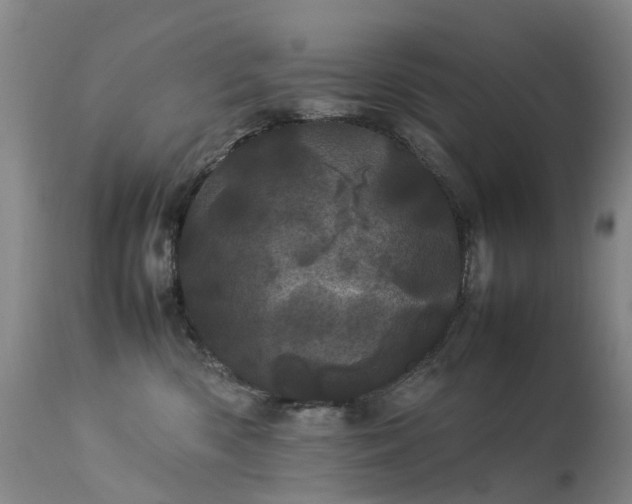 X0000113620426200909251210