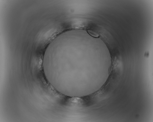 X0000113620427200909251210