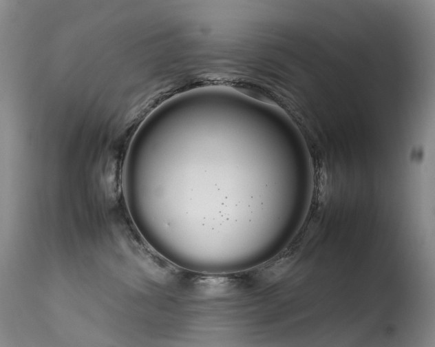 X0000113620428200909251210