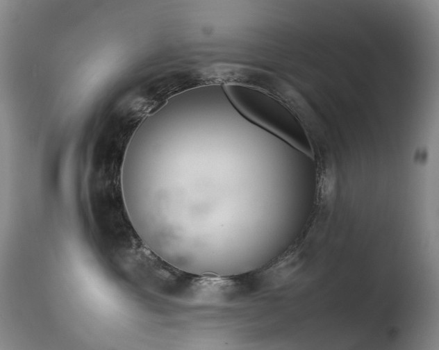 X0000113620429200909251210