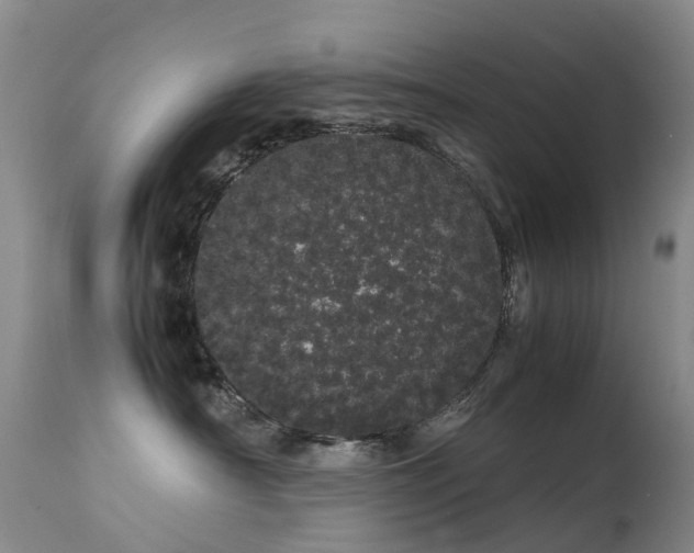 X0000113620430200909251210