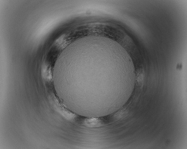 X0000113620431200909251210