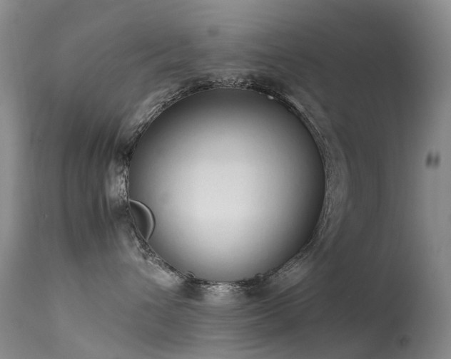 X0000113620432200909251210