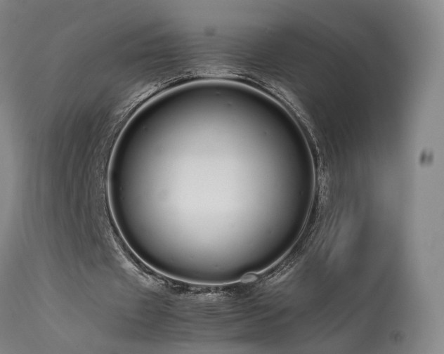 X0000113620433200909251210