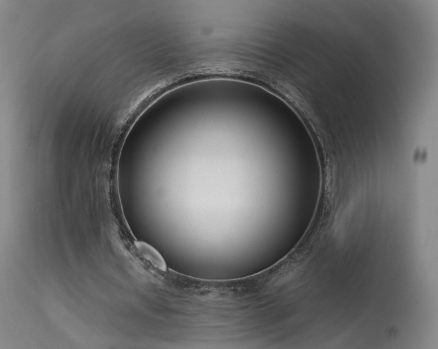 X0000113620434200909251210