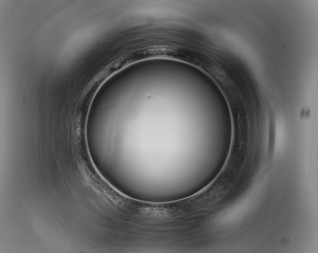 X0000113620435200909251210