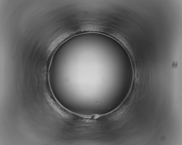 X0000113620437200909251210