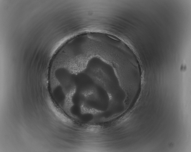 X0000113620438200909251210