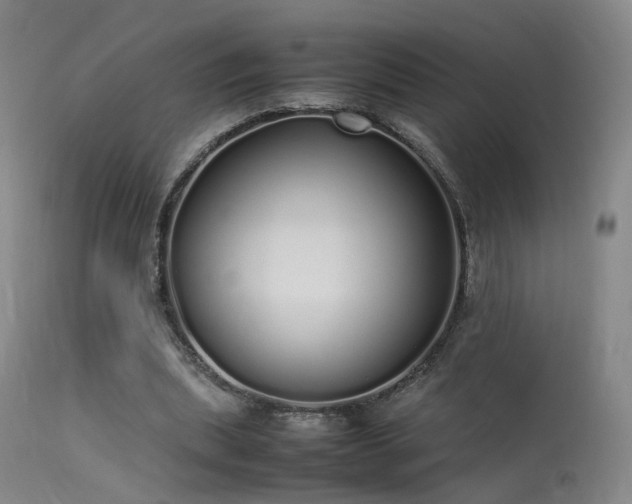 X0000113620439200909251210