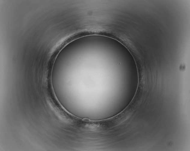 X0000113620440200909251210