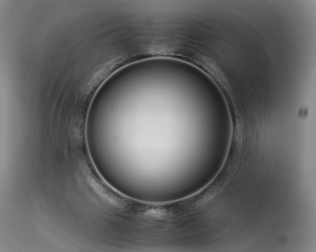 X0000113620441200909251210