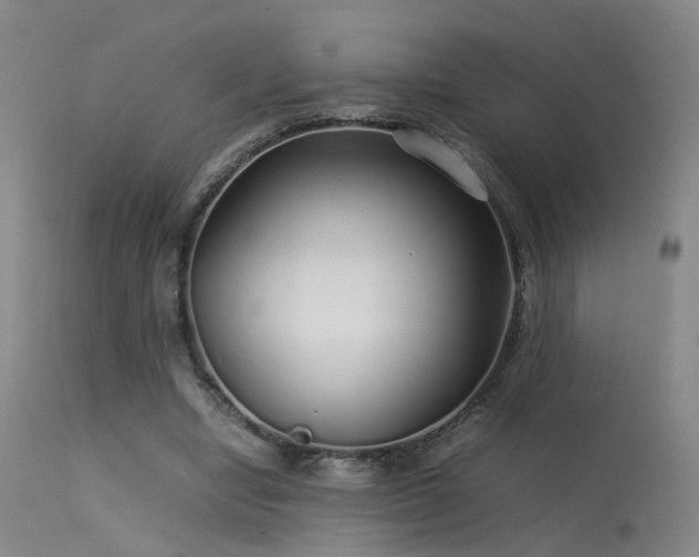 X0000113620442200909251210