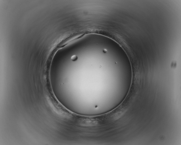 X0000113620443200909251210