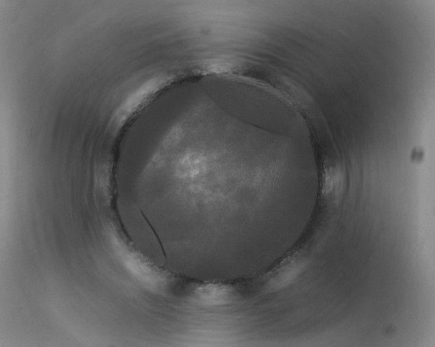 X0000113620444200909251210