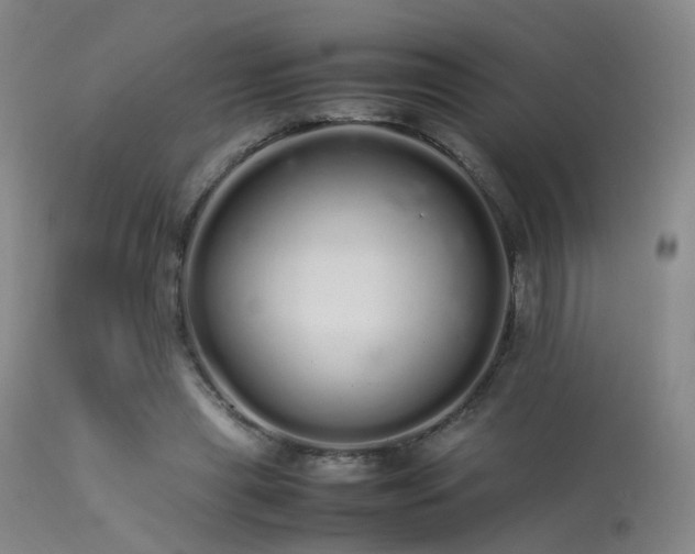 X0000113620445200909251210