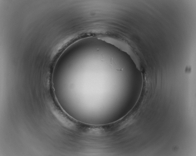 X0000113620446200909251210