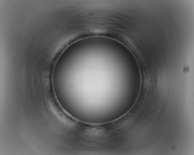 X0000113620447200909251210