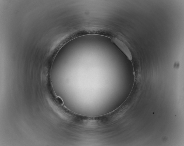 X0000113620448200909251210