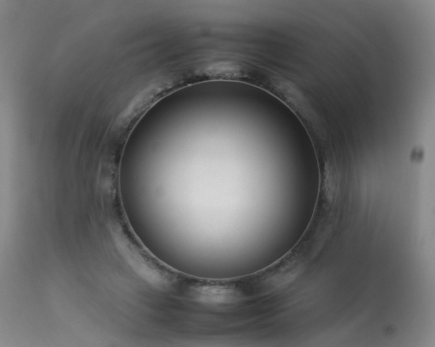 X0000113620449200909251210