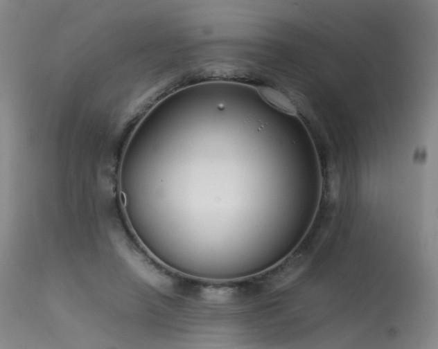 X0000113620450200909251210