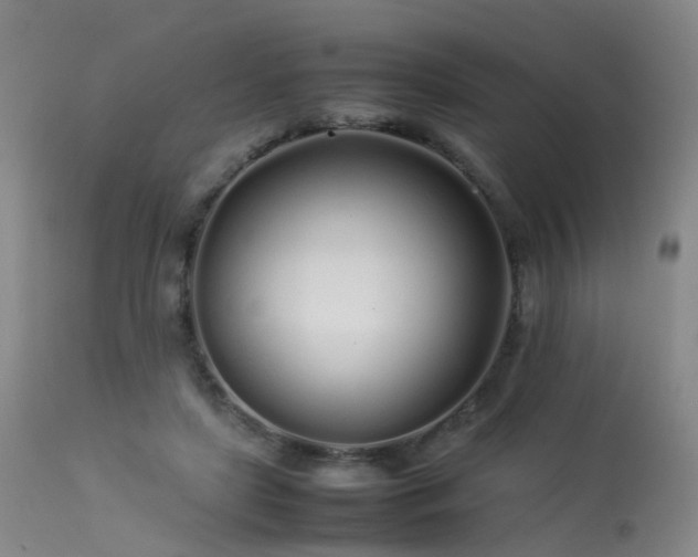 X0000113620451200909251210