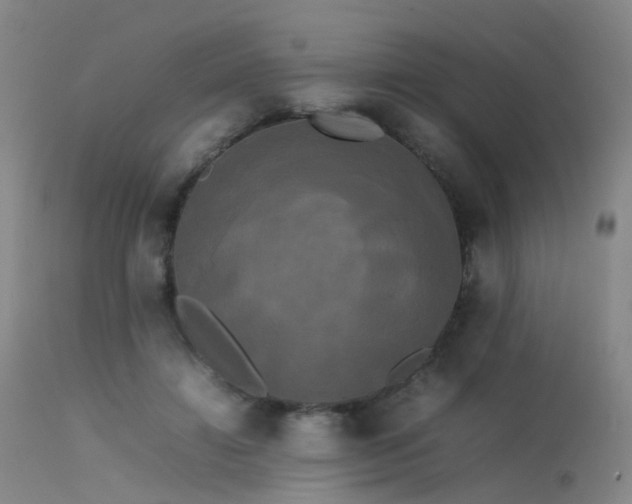 X0000113620452200909251210