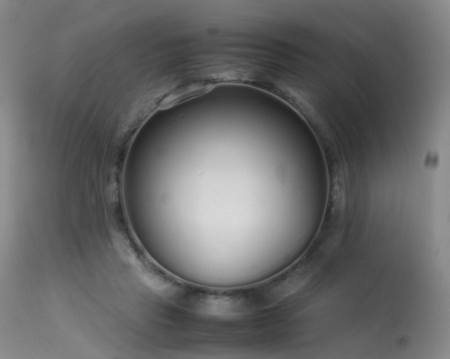 X0000113620453200909251210