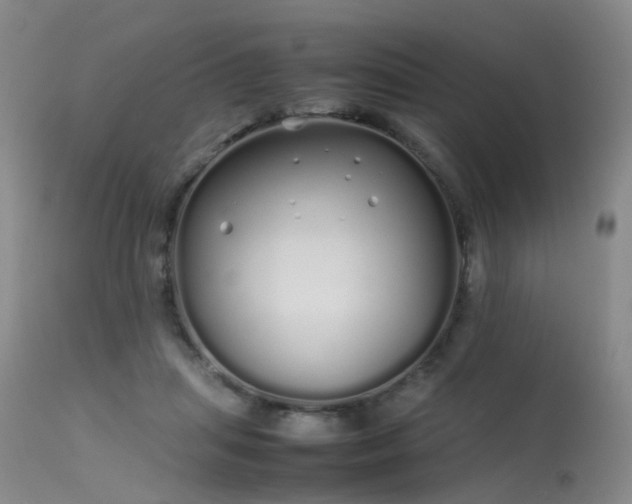 X0000113620455200909251210