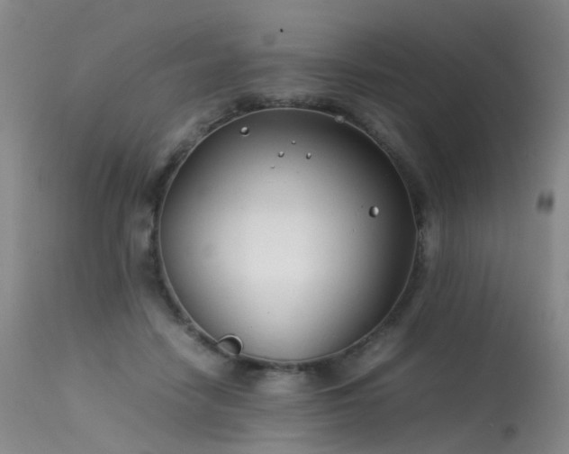 X0000113620458200909251210