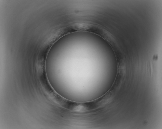 X0000113620460200909251210