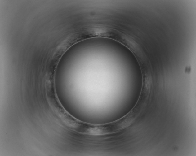 X0000113620461200909251210