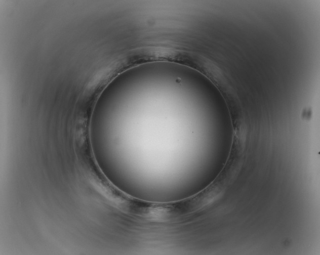 X0000113620462200909251210