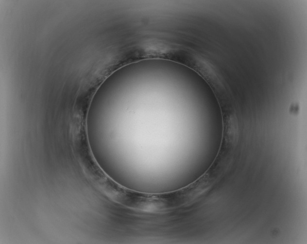 X0000113620463200909251210