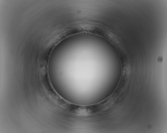 X0000113620464200909251210