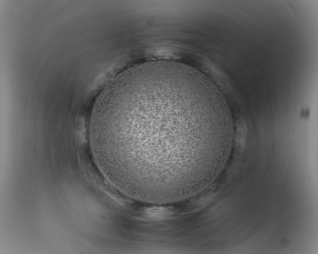 X0000113620465200909251210