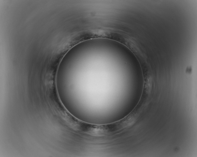 X0000113620466200909251210