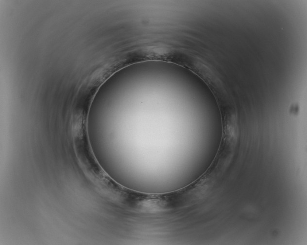 X0000113620468200909251210