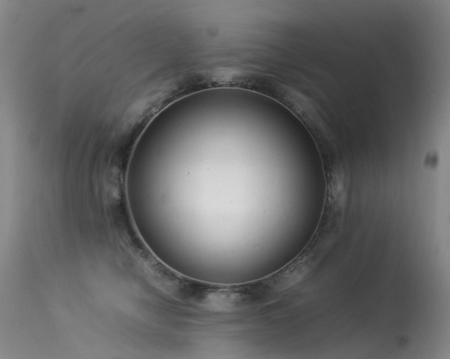 X0000113620470200909251210