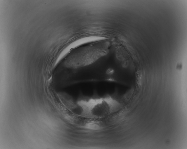 X0000113620471200909251210