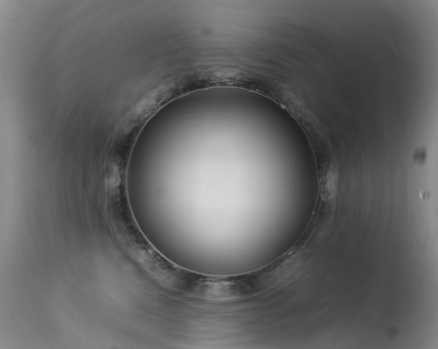 X0000113620472200909251210