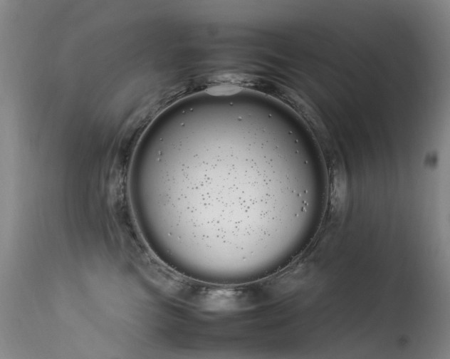 X0000113620473200909251210