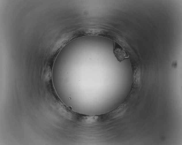 X0000113620474200909251210