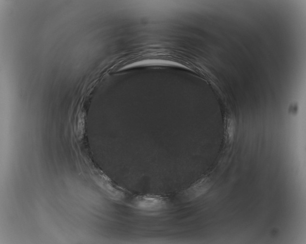 X0000113620475200909251210