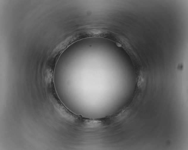 X0000113620476200909251210